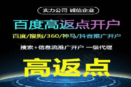 百度SEO推广公司案例：如何快速提升网站排名